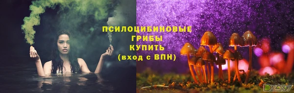индика Нязепетровск