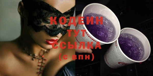 индика Нязепетровск