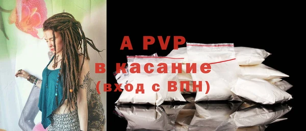индика Нязепетровск