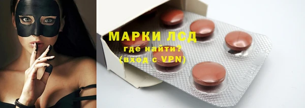 индика Нязепетровск