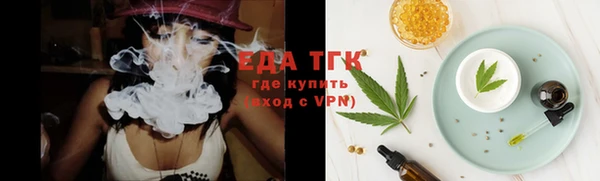 индика Нязепетровск
