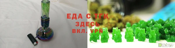 индика Нязепетровск