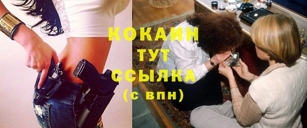 первитин Няндома