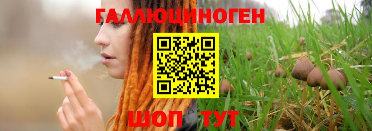Реж  Псилоцибиновые грибы Magic Shrooms  Вход с VPN 